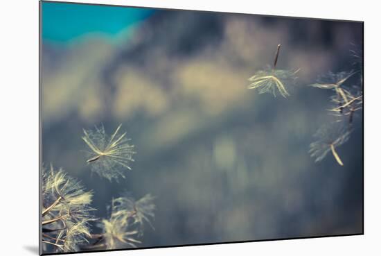 Huge 6 Inch Dandelions Drifting in the Wind at the Base of Maroon Bells. Aspen, Colorado-Brad Beck-Mounted Photographic Print