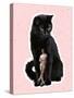 Huge Black Cat and Tiny Stylish Man, Dude Standing near Pet. Contemporary Art Collage, Modern Desig-master1305-Stretched Canvas