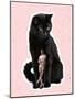 Huge Black Cat and Tiny Stylish Man, Dude Standing near Pet. Contemporary Art Collage, Modern Desig-master1305-Mounted Photographic Print