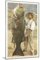 Huge Black Sea Bass, Catalina, California-null-Mounted Art Print
