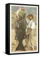 Huge Black Sea Bass, Catalina, California-null-Framed Stretched Canvas