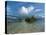 Huge Cloud Formations over the Marovo Lagoon, Solomon Islands, Pacific-Michael Runkel-Stretched Canvas