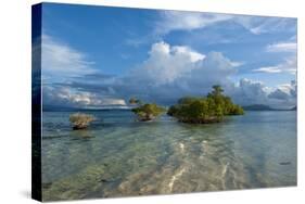 Huge Cloud Formations over the Marovo Lagoon, Solomon Islands, Pacific-Michael Runkel-Stretched Canvas