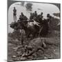 Huge Crocodile Just Landed - Beside the Upper Nile, East Africa, c.1905-Underwood & Underwood-Mounted Photographic Print