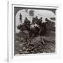 Huge Crocodile Just Landed - Beside the Upper Nile, East Africa, c.1905-Underwood & Underwood-Framed Photographic Print