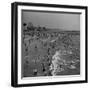 Huge Crowd Gathered in the Surf and at the Beach in Front of Coney Island Amusement Park-Marie Hansen-Framed Premium Photographic Print