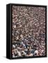 Huge Crowd of Baseball Fans Attending the World Series at the Los Angeles Coliseum-null-Framed Stretched Canvas