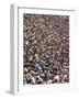 Huge Crowd of Baseball Fans Attending the World Series at the Los Angeles Coliseum-null-Framed Photographic Print