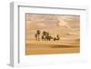 Huge Dunes of the Desert. Fine Place for Photographers and Travelers. Beautiful Structures of Sandy-Denis Burdin-Framed Photographic Print