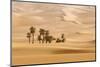 Huge Dunes of the Desert. Fine Place for Photographers and Travelers. Beautiful Structures of Sandy-Denis Burdin-Mounted Photographic Print