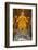 Huge Golden Buddha Statue, Ulaanbaatar (Ulan Bator)-Eleanor Scriven-Framed Photographic Print