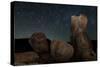 Huge Granite Boulders under Starry Skies, California-null-Stretched Canvas