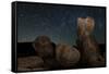 Huge Granite Boulders under Starry Skies, California-null-Framed Stretched Canvas