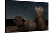 Huge Granite Boulders under Starry Skies, California-null-Stretched Canvas