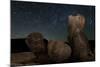 Huge Granite Boulders under Starry Skies, California-null-Mounted Photographic Print