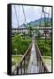 Huge Hanging Bridge in Banaue, Northern Luzon, Philippines, Southeast Asia, Asia-Michael Runkel-Framed Stretched Canvas