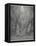 Huge Host of Angels Descend Through the Clouds in Paradise-Gustave Dor?-Framed Stretched Canvas