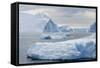 Huge Icebergs Calved from the Ilulissat Glacier, Ilulissat, Greenland, Polar Regions-Michael Nolan-Framed Stretched Canvas