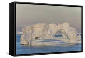Huge Icebergs Calved from the Ilulissat Glacier, Ilulissat, Greenland, Polar Regions-Michael Nolan-Framed Stretched Canvas