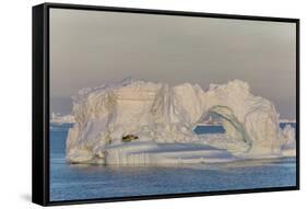 Huge Icebergs Calved from the Ilulissat Glacier, Ilulissat, Greenland, Polar Regions-Michael Nolan-Framed Stretched Canvas