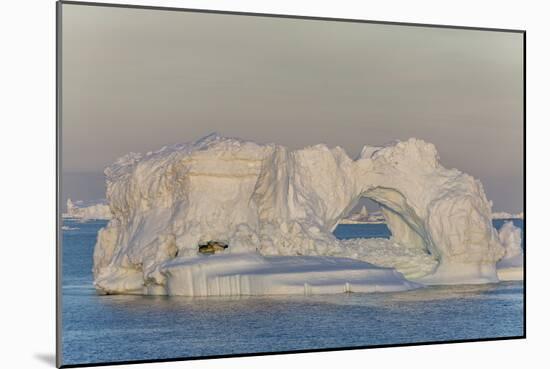 Huge Icebergs Calved from the Ilulissat Glacier, Ilulissat, Greenland, Polar Regions-Michael Nolan-Mounted Photographic Print