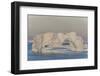 Huge Icebergs Calved from the Ilulissat Glacier, Ilulissat, Greenland, Polar Regions-Michael Nolan-Framed Photographic Print