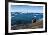 Huge icebergs on Tabarin Peninsula, Antarctica, Polar Regions-Michael Runkel-Framed Photographic Print