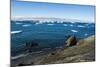 Huge icebergs on Tabarin Peninsula, Antarctica, Polar Regions-Michael Runkel-Mounted Photographic Print