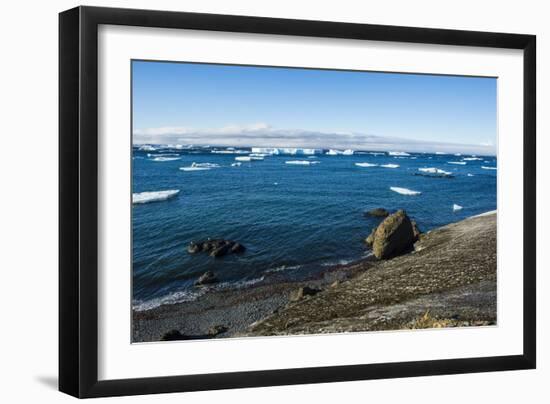 Huge icebergs on Tabarin Peninsula, Antarctica, Polar Regions-Michael Runkel-Framed Photographic Print