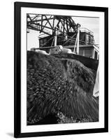 Huge Pile of Coal in Us Near the Mine and Generating Plant-Andreas Feininger-Framed Photographic Print