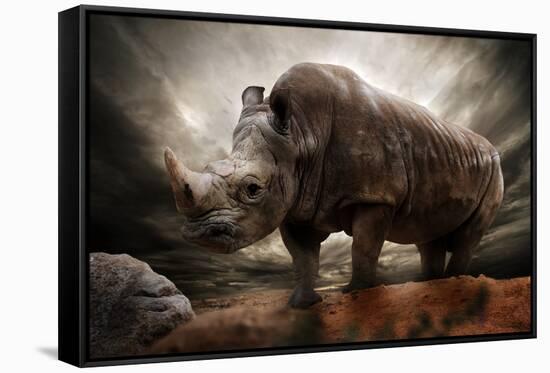 Huge Rhinoceros Against Stormy Sky-NejroN Photo-Framed Stretched Canvas