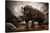 Huge Rhinoceros Against Stormy Sky-NejroN Photo-Stretched Canvas