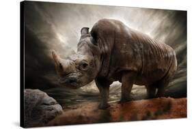 Huge Rhinoceros Against Stormy Sky-NejroN Photo-Stretched Canvas