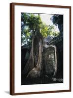 Huge Roots of Strangler Fig Temple of Wat Ta Prohm-null-Framed Giclee Print