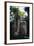 Huge Roots of Strangler Fig Temple of Wat Ta Prohm-null-Framed Giclee Print