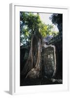 Huge Roots of Strangler Fig Temple of Wat Ta Prohm-null-Framed Giclee Print