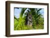 Huge statue of a face, Wallis, Wallis and Futuna, South Pacific, Pacific-Michael Runkel-Framed Photographic Print