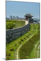 Huge Stone Walls around the UNESCO World Heritage Site the Fortress of Suwon, South Korea-Michael Runkel-Mounted Photographic Print