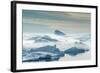 Huge Stranded Icebergs at the Mouth of the Icejord Near Ilulissat at Midnight, Greenland-Luis Leamus-Framed Photographic Print