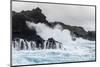 Huge Surf at the Olivine Pools on the Northwest Coast of West Maui-Michael Nolan-Mounted Photographic Print