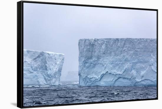 Huge Tabular Icebergs Broken Off from B-17A Iceberg Near Cooper Bay, Polar Regions-Michael Nolan-Framed Stretched Canvas