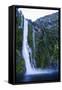 Huge Waterfall in Milford Sound, Fiordland National Park, South Island, New Zealand, Pacific-Michael Runkel-Framed Stretched Canvas