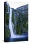 Huge Waterfall in Milford Sound, Fiordland National Park, South Island, New Zealand, Pacific-Michael Runkel-Stretched Canvas