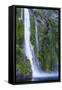 Huge Waterfall in Milford Sound-Michael-Framed Stretched Canvas