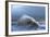 Huge Waves Crash Against a Stone Jetty at Criccieth, Gwynedd, Wales, United Kingdom, Europe-Graham Lawrence-Framed Photographic Print