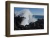 Huge waves crashing against lava rocks on coast of Big Island, Hawaii-Gayle Harper-Framed Photographic Print