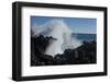 Huge waves crashing against lava rocks on coast of Big Island, Hawaii-Gayle Harper-Framed Photographic Print