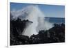 Huge waves crashing against lava rocks on coast of Big Island, Hawaii-Gayle Harper-Framed Photographic Print