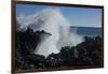 Huge waves crashing against lava rocks on coast of Big Island, Hawaii-Gayle Harper-Framed Photographic Print