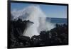 Huge waves crashing against lava rocks on coast of Big Island, Hawaii-Gayle Harper-Framed Photographic Print